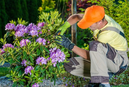 Maintaining a healthy green lawn with proper mowing techniques