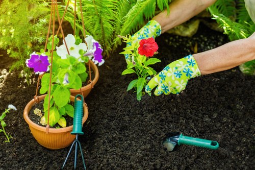 Tools used for garden clearance