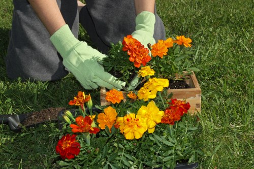 Environmentally friendly tree care practices in Greenwich