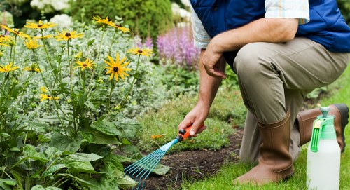 Step-by-step hedge trimming process