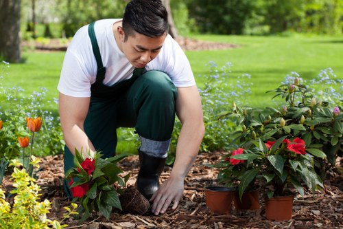 Professional landscaper designing a garden layout in Greenwich