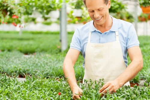 Gardener pruning shrubs in Greenwich