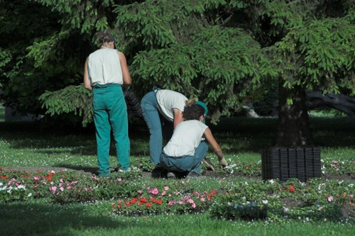 Eco-friendly garden clearance practices