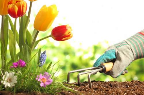 Lush summer garden with vibrant flowers