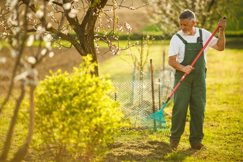 Autumn garden maintenance activities