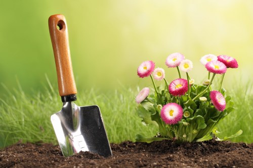 Essential tools for hedge trimming